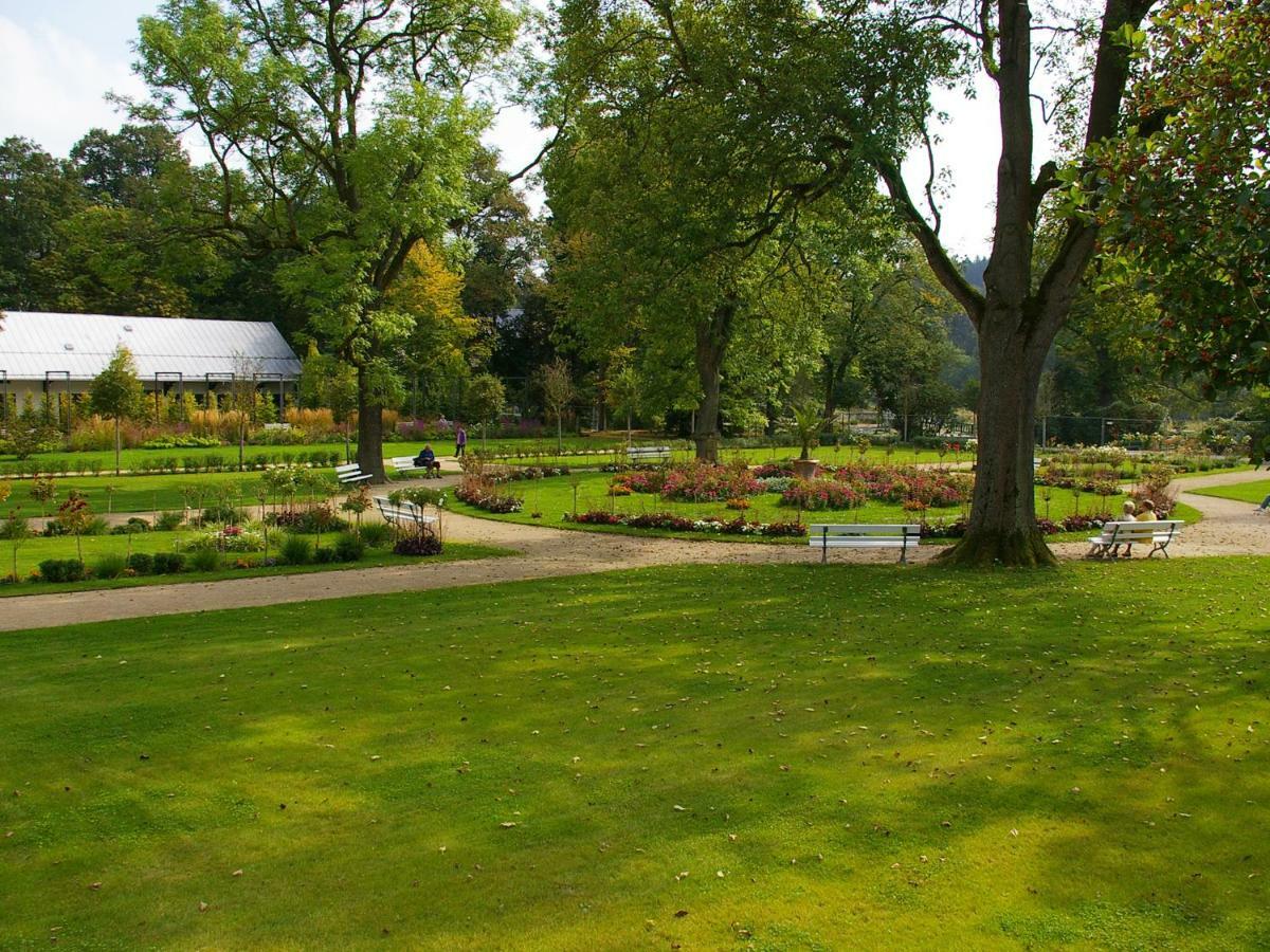 Pension Weisse Rose, Parkplatz, Fruehstueck, Wlan, Zentral Bad Elster Esterno foto